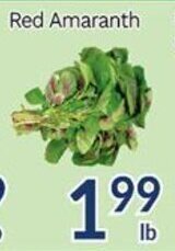 Oceans Fresh Food Market Red Amaranth offer