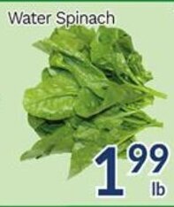 Oceans Fresh Food Market Water Spinach offer