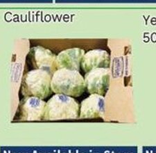 Oceans Fresh Food Market Cauliflower offer