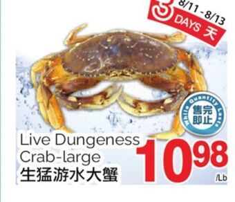 T&T Supermarket Live dungeness crab-large offer