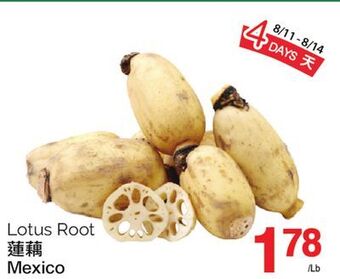 T&T Supermarket Lotus root offer