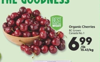 Calgary Co-op Organic Cherries offer