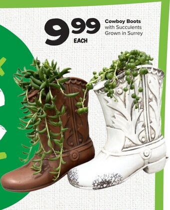 Thrifty Foods Cowboy Boots with Succulents offer