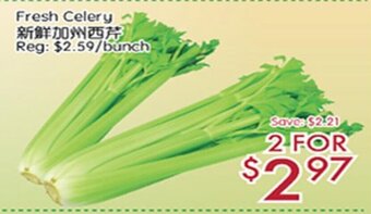 Sunny Food Mart Fresh Celery offer