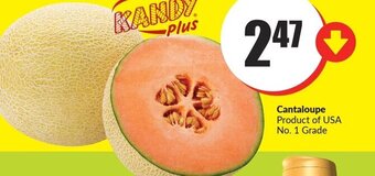 FreshCo Cantaloupe offer
