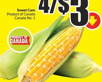 FreshCo Sweet Corn offer