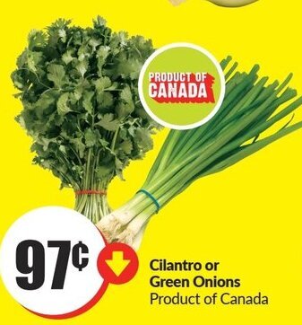 FreshCo Cilantro or Green Onions offer