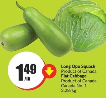 FreshCo Long Opo Squash , Flat Cabbage offer