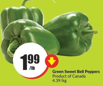 FreshCo Green Sweet Bell Peppers offer