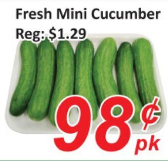 Fresh mini cucumber