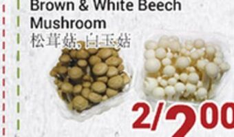 Oceans Fresh Food Market Brown & white beech mushroom offer