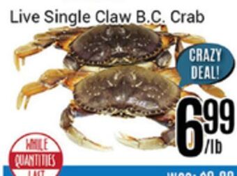 Nations Fresh Foods Live single claw b.c. crab offer