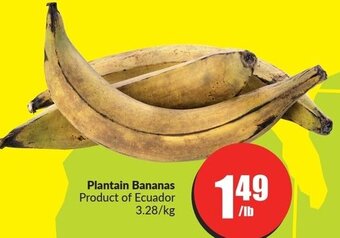 FreshCo Plantain Bananas offer