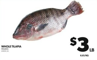 Real Canadian Superstore WHOLE TILAPIA offer