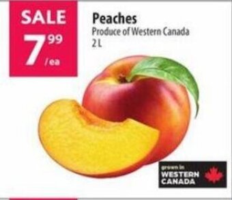 Co-Op Food Peaches 2 L offer