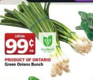 Foodland Green Onions Bunch offer