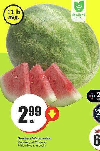FreshCo Seedless Watermelon offer