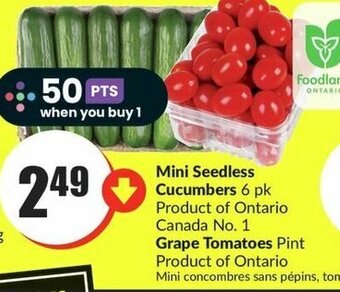 FreshCo Mini Seedless Cucumbers 6 pk Grape Tomatoes Pint offer