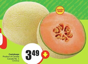 FreshCo Cantaloupe offer