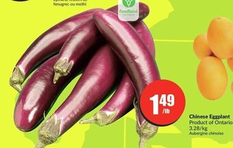 FreshCo Chinese Eggplant offer
