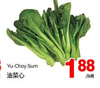 T&T Supermarket Yu-Choy Sum offer