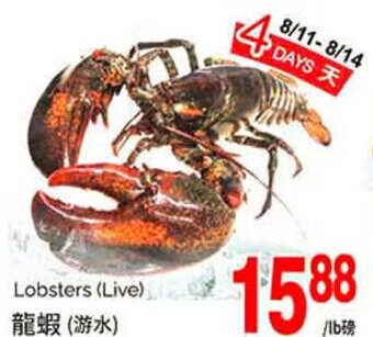 T&T Supermarket Lobsters (Live) offer