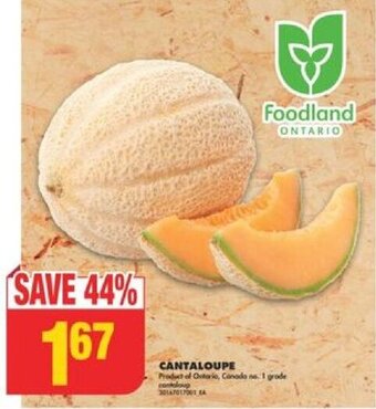 No Frills CANTALOUPE offer