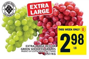 Food Basics EXTRA LARGE RED OR GREEN SEEDLESS GRAPES offer