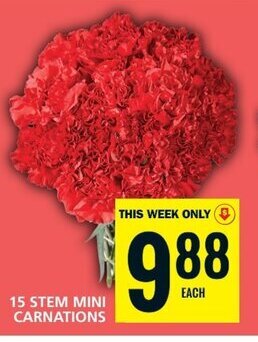 Food Basics 15 STEM MINI CARNATIONS offer