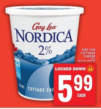 Food Basics GAY LEA COTTAGE CHEESE offer