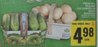 Food Basics FRESH DILL PICKLING CUCUMBERS OR WHITE POTATOES offer