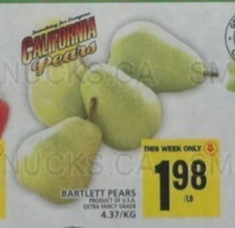 Food Basics BARTLETT PEARS offer