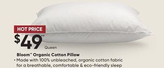 Sleep Country Bloom organic cotton pillow offer