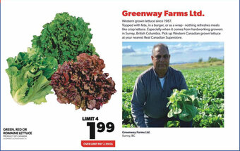 Real Canadian Superstore GREEN, RED OR ROMAINE LETTUCE offer