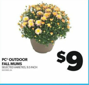 Real Canadian Superstore PC OUTDOOR FALL MUMS offer