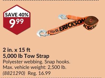 Princess Auto 2 in. x 15 5, 000 lb tow strap offer