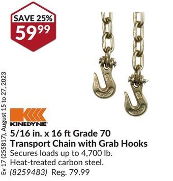 Princess Auto 5/16 in. x 16 ft grade 70 transport chain with grab hooks offer