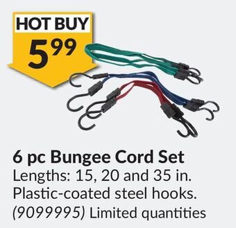 Princess Auto 6 pc bungee cord set offer