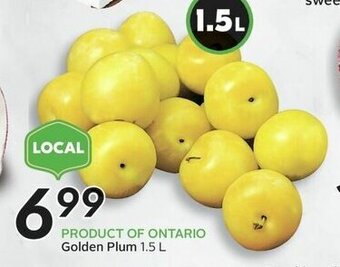 Sobeys Golden Plum 1.5 L offer