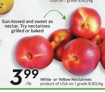 Sobeys White or Yellow Nectarines offer