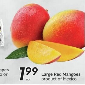 Sobeys Large Red Mangoes offer
