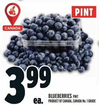 Metro BLUEBERRIES PINT offer