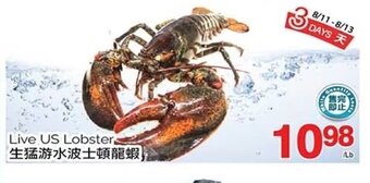 T&T Supermarket Live US Lobster offer