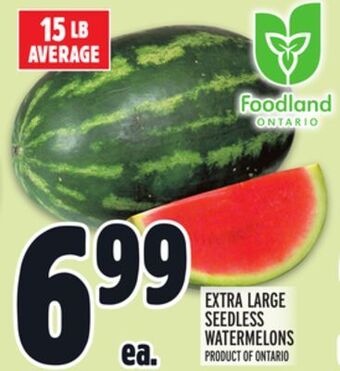 Metro Extra large seedless watermelons offer
