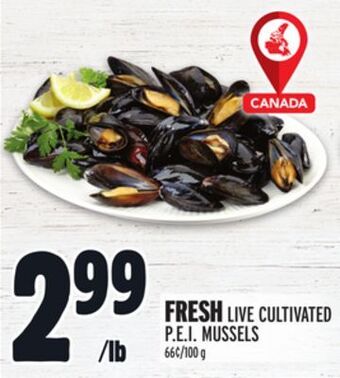 Metro Fresh live cultivated p.e.i. mussels offer