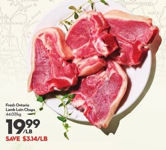 Longo's Fresh ontario lamb loin chops offer
