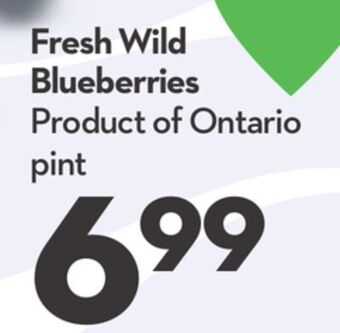 Longo's Fresh wild blueberries offer