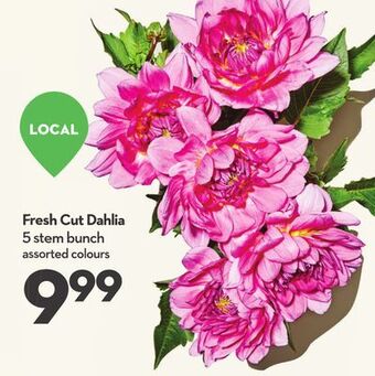 Longo's Fresh cut dahlia offer