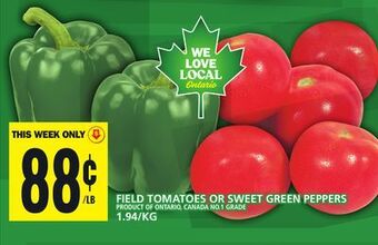 Food Basics Field tomatoes or sweet green peppers offer