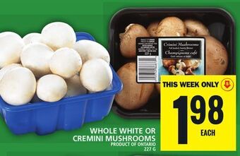 Food Basics Whole white or cremini mushrooms offer